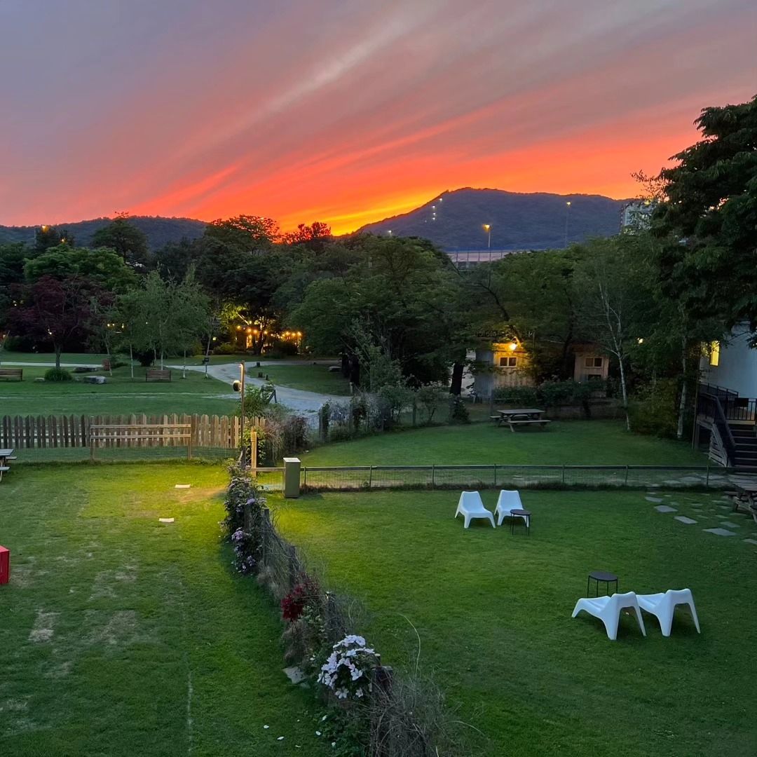 넓은 부지를 기반으로 다양한 액티비티가 마련된 네이처독. 이미지 출처: 네이버 지도 업체 제공 / 인스타그램 @naturedog.official