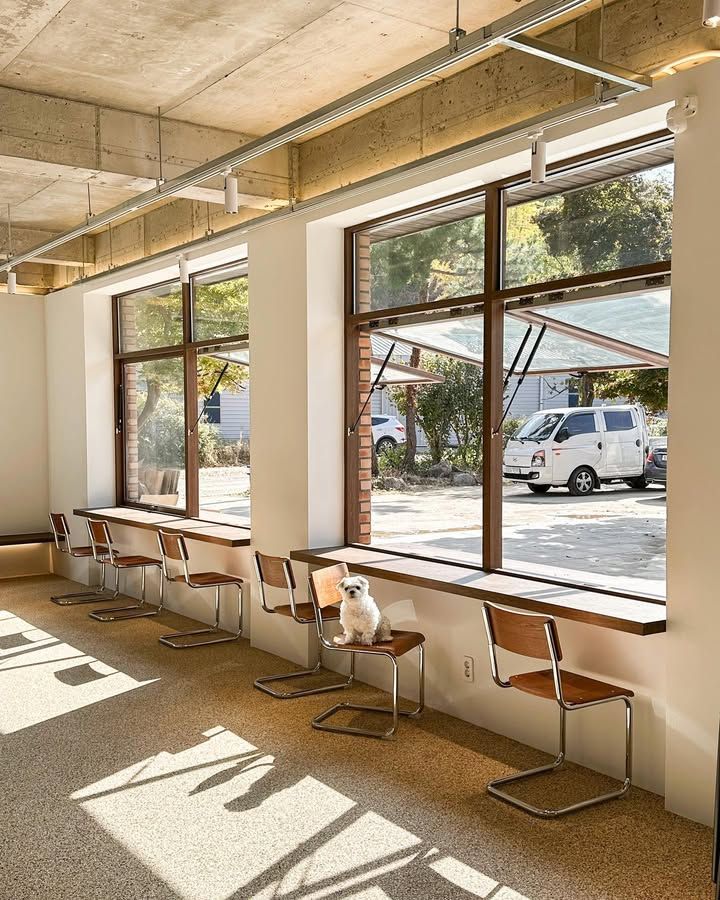 실내외 모두 여유를 위한 공간이 마련된 카페 앞마당. 이미지 출처: 네이버 지도 업체 제공 / 인스타그램 @jungys3160