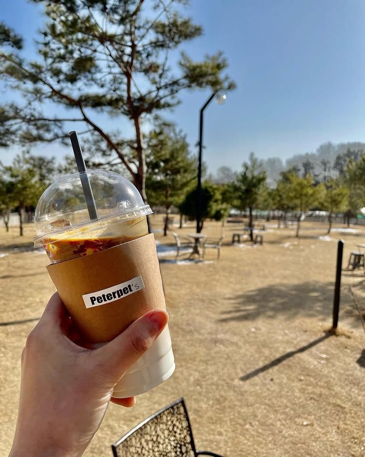 반려견을 위한 대형 테마파크라 불릴 정도로 실내외 다양한 시설이 마련되었다. / 이미지 출처: 인스타그램 @peter_pets_ 