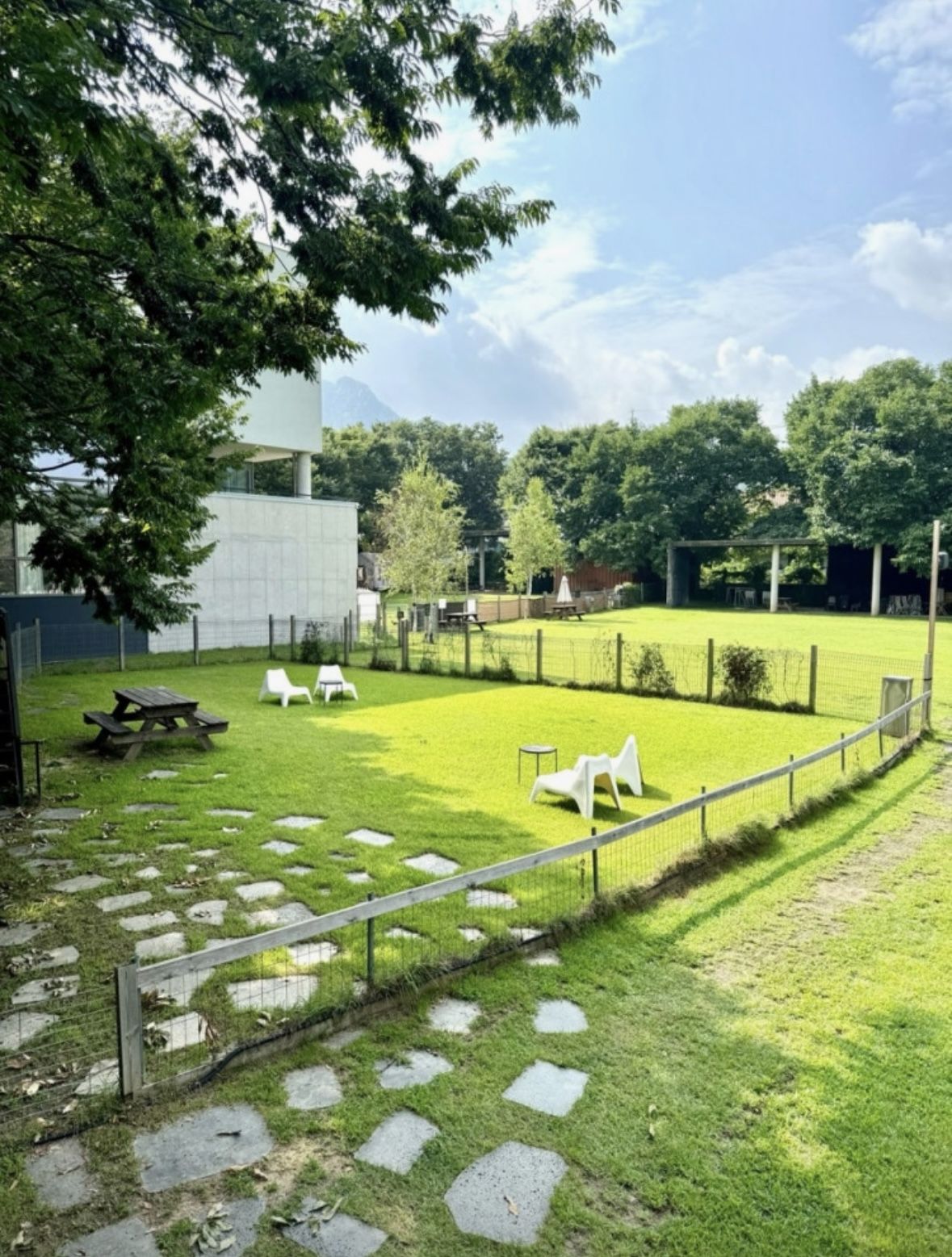 넓은 부지를 기반으로 다양한 액티비티가 마련된 네이처독. 이미지 출처: 네이버 지도 업체 제공 / 인스타그램 @naturedog.official