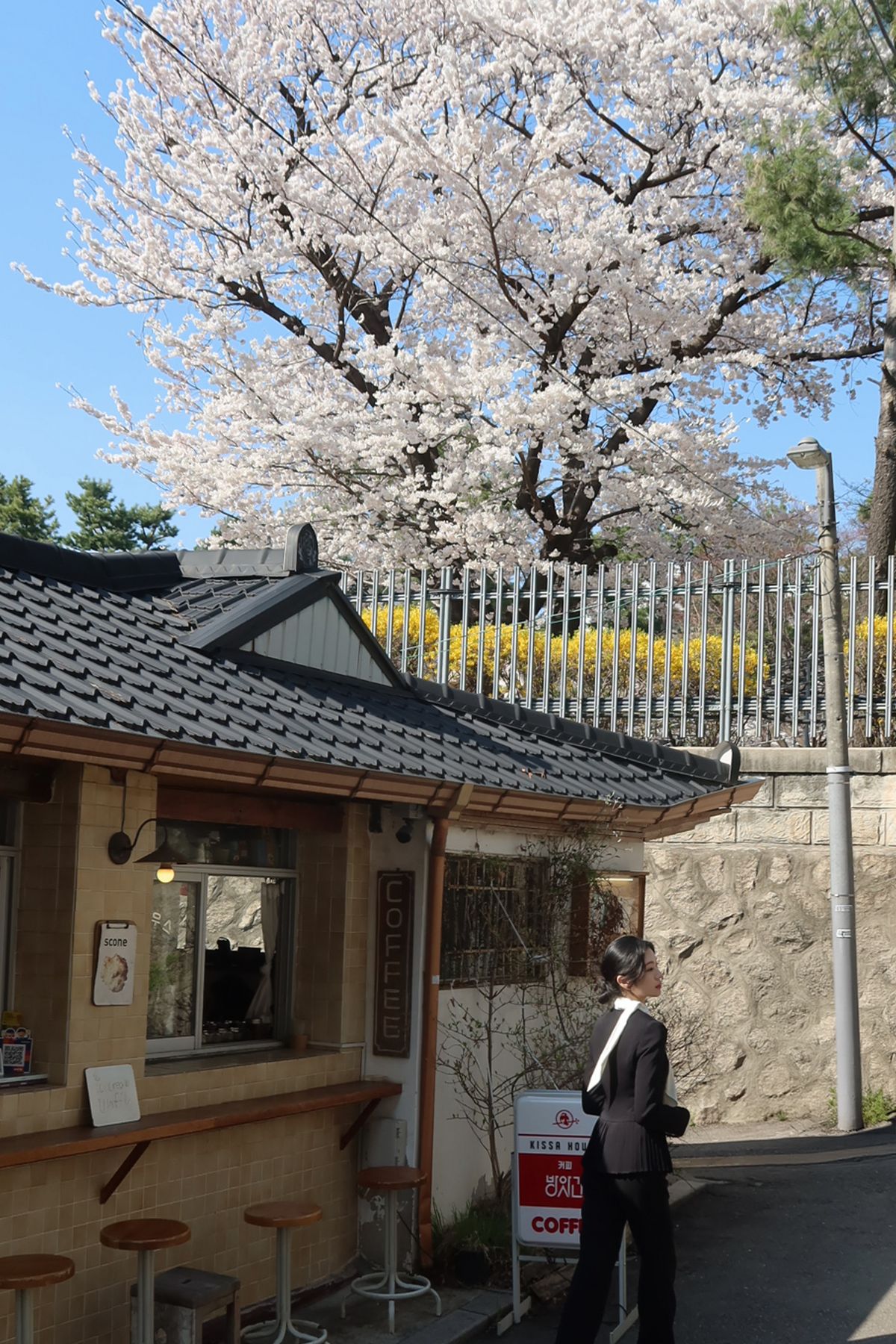 4월의 생동감이 느껴지는 서촌 골목의 풍경과 카페 커피 방앗간 / 이미지 출처: 필자 촬영