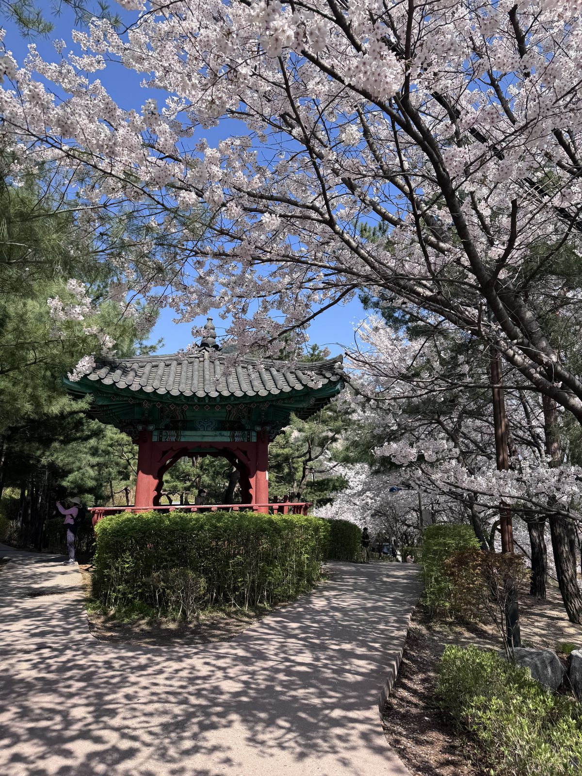 시인의 언덕으로 향하는 둘레길의 풍경 / 이미지 출처: 필자 촬영