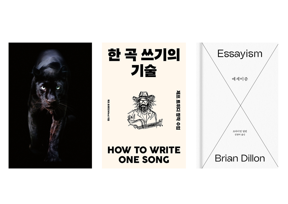 사진출처: 카라칼 웹사이트