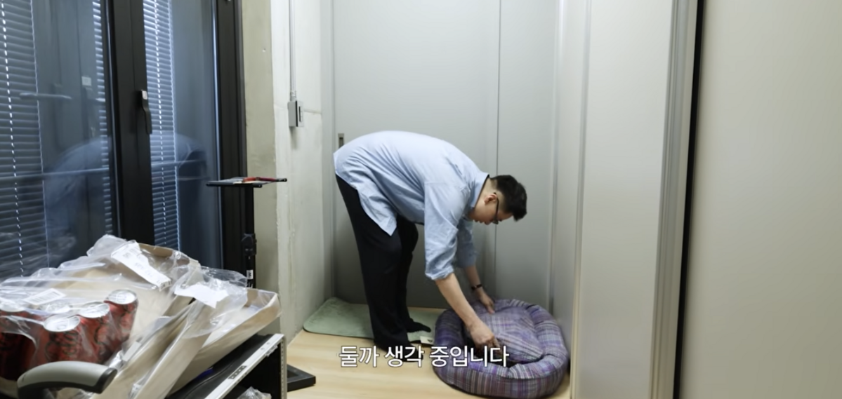 허키 시바세키가 공개한 강아지 소파 / 이미지 출처: 유튜브 @29오픈하우스