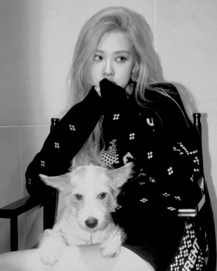 @roses_are_rosie