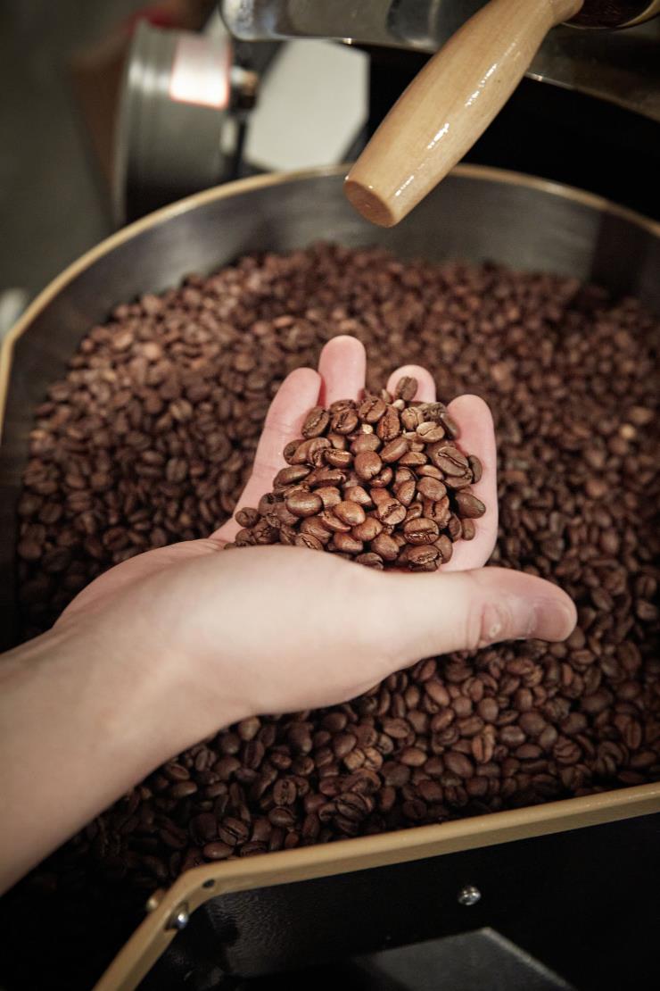 브루잉 세레모니