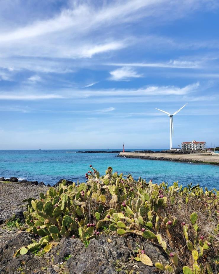 우니동동 블로그 출처