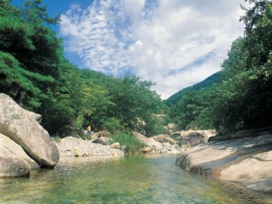 ⓒ괴산군 문화관광 사이트
