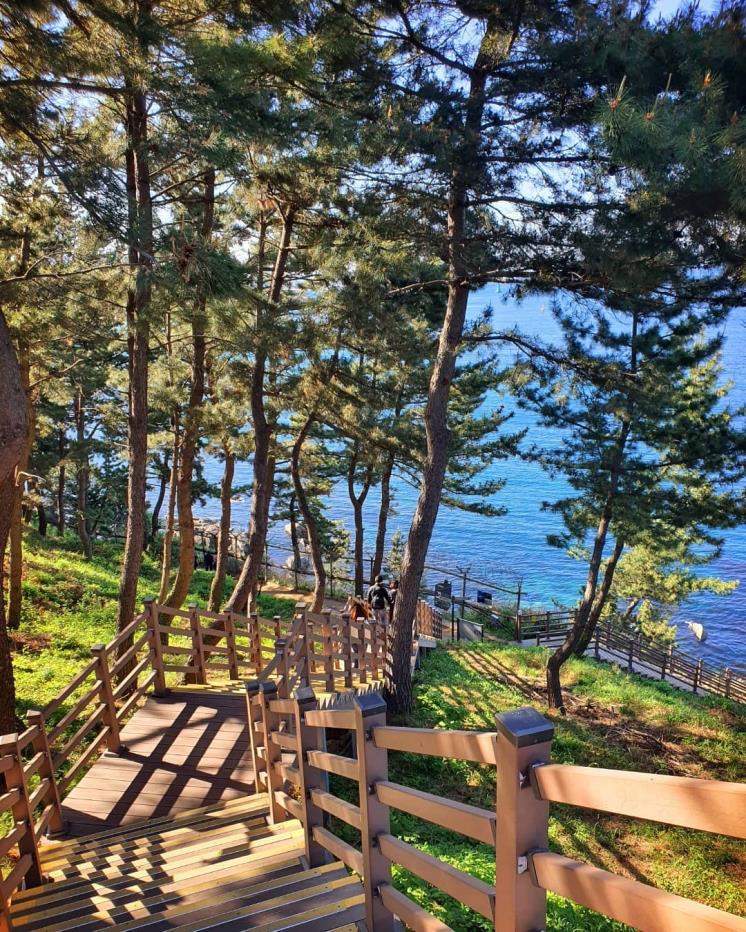 외옹치 해수욕장 @prettywave2