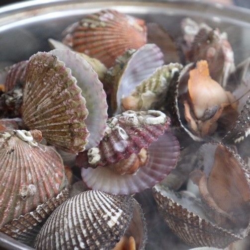 강릉염전조개구이