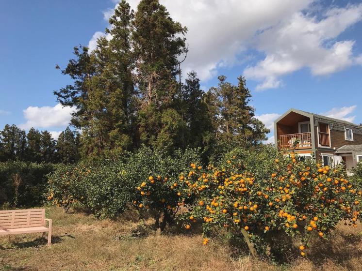 그리니제주 @greeny_jeju