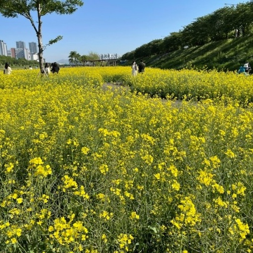 광명햇살광장