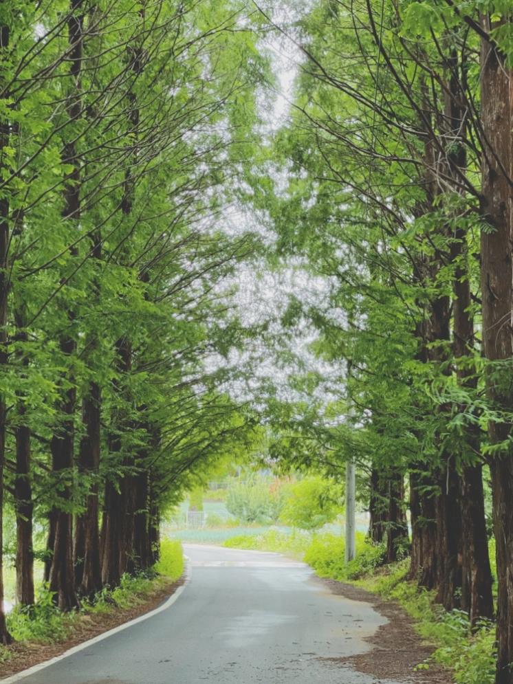 풍사니랑 @with_poongsani