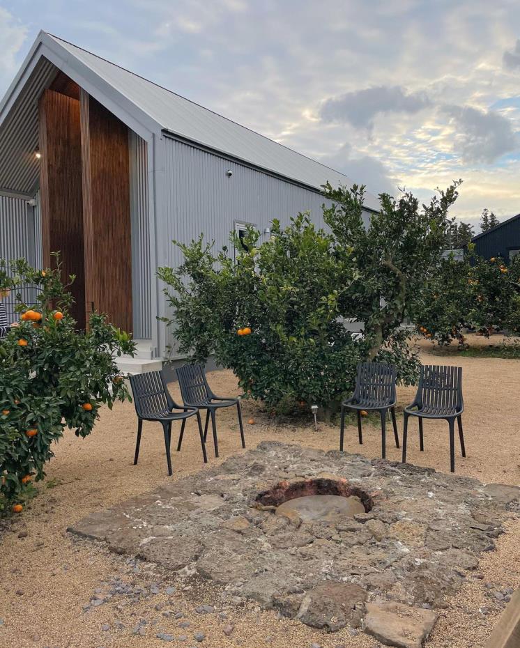 귤림동화 @_danie_e