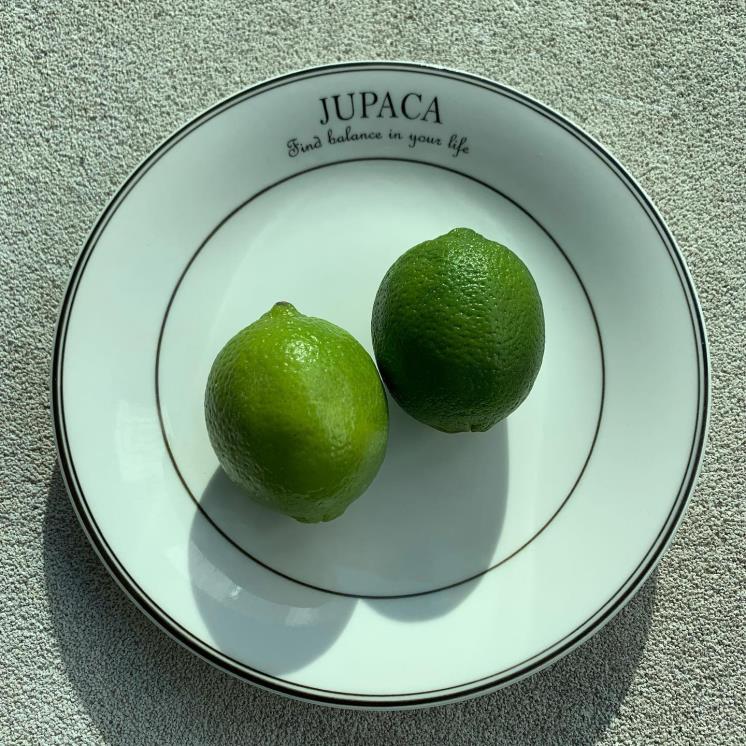 주파카 타코(@jupaca_taco)