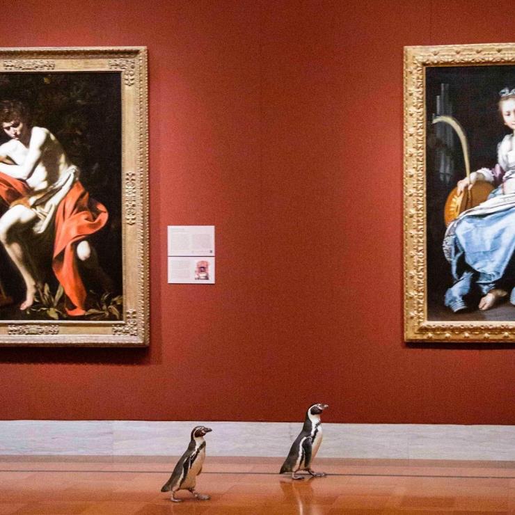넬슨 앳킨스 미술관 펭귄