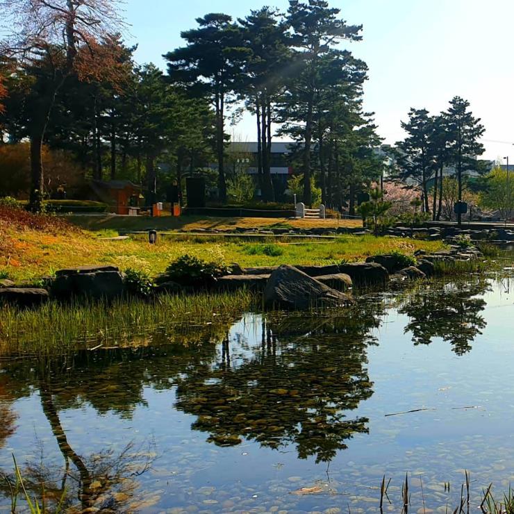 중랑캠핑장 @joongrang_soop
