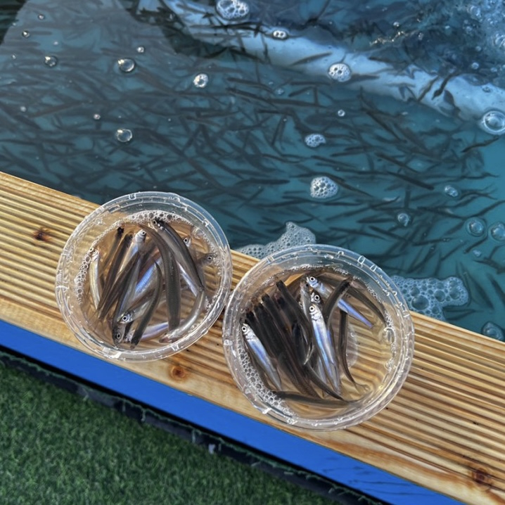 중랑천 눈썰매장