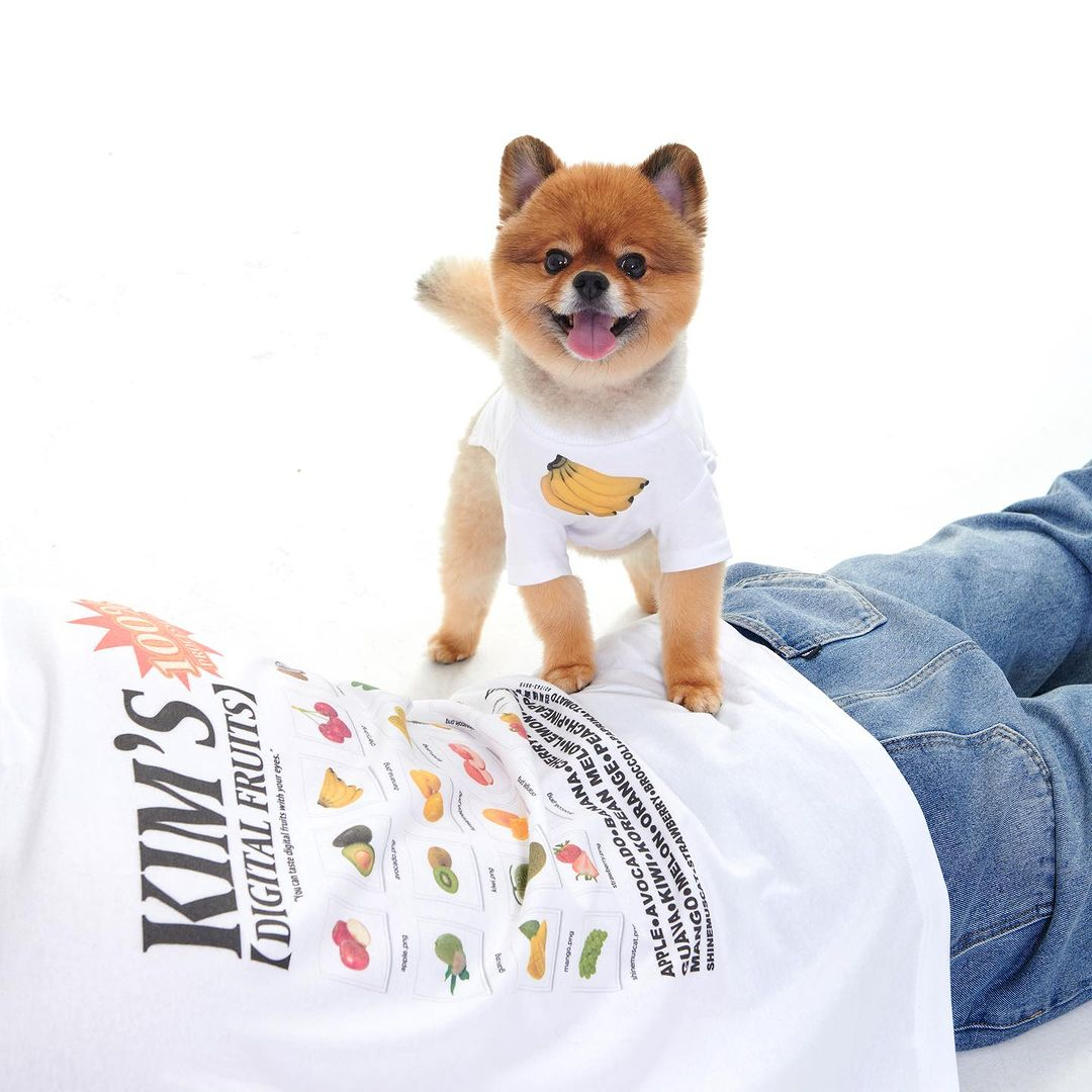 @kimsfruits