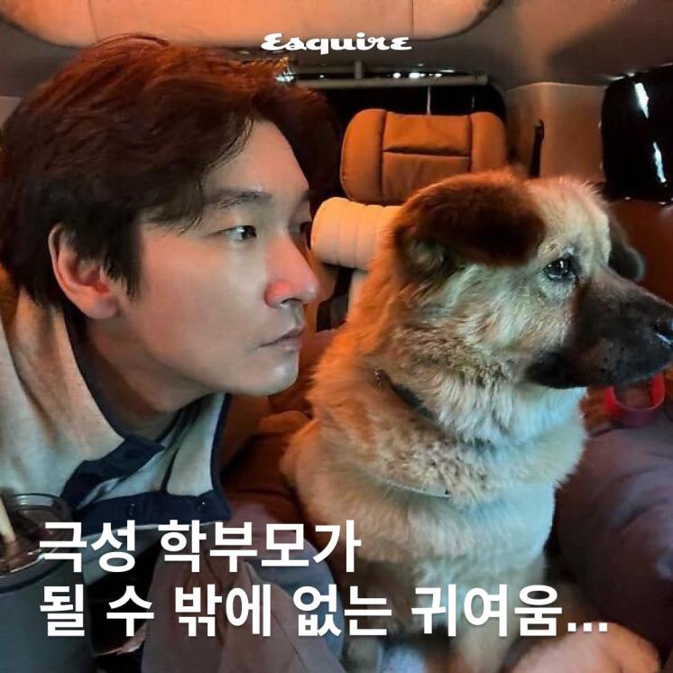 각 셀럽 인스타그램