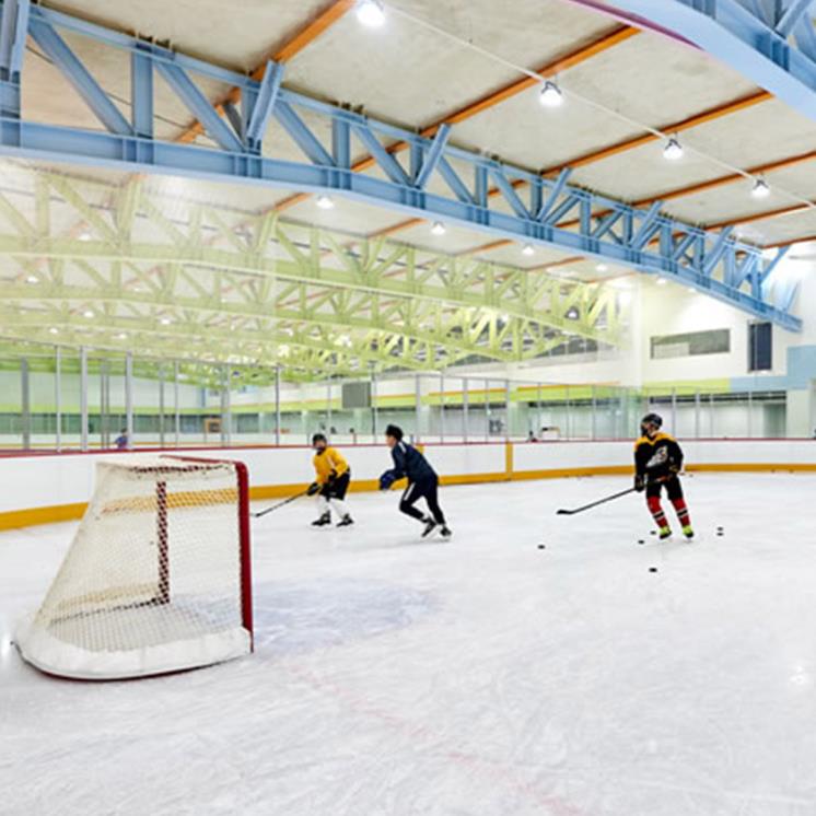 제니스 아이스링크