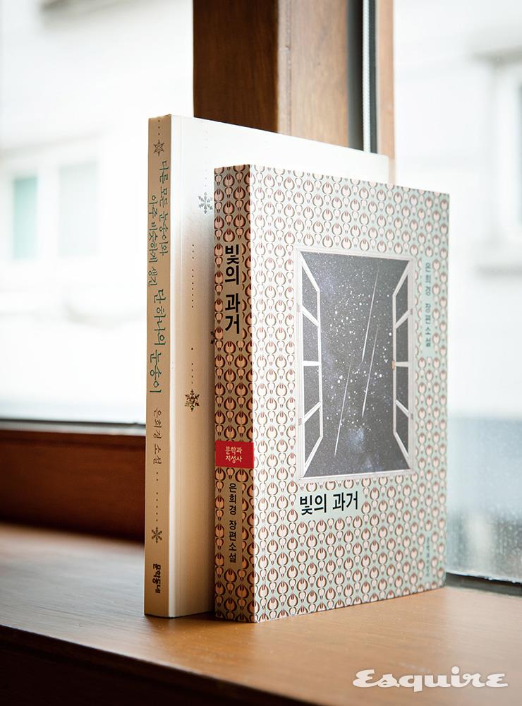 소설집 <다른 모든 눈송이와 아주 비슷하게 생긴 단 하나의 눈송이>, 소설 <빛의 과거>는 후기 은희경을 이해하는 중요한 열쇠다. 