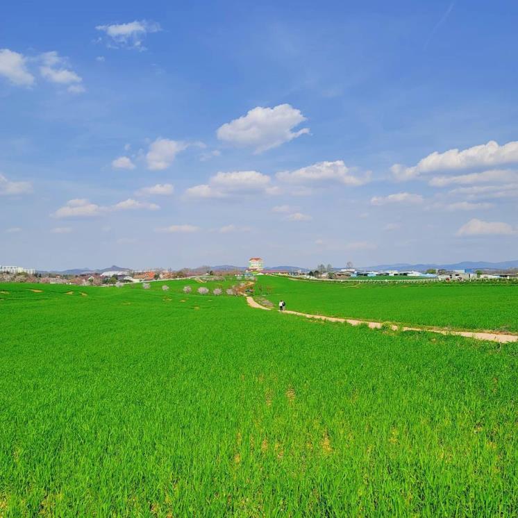 안성팜랜드 @nhasfarmland