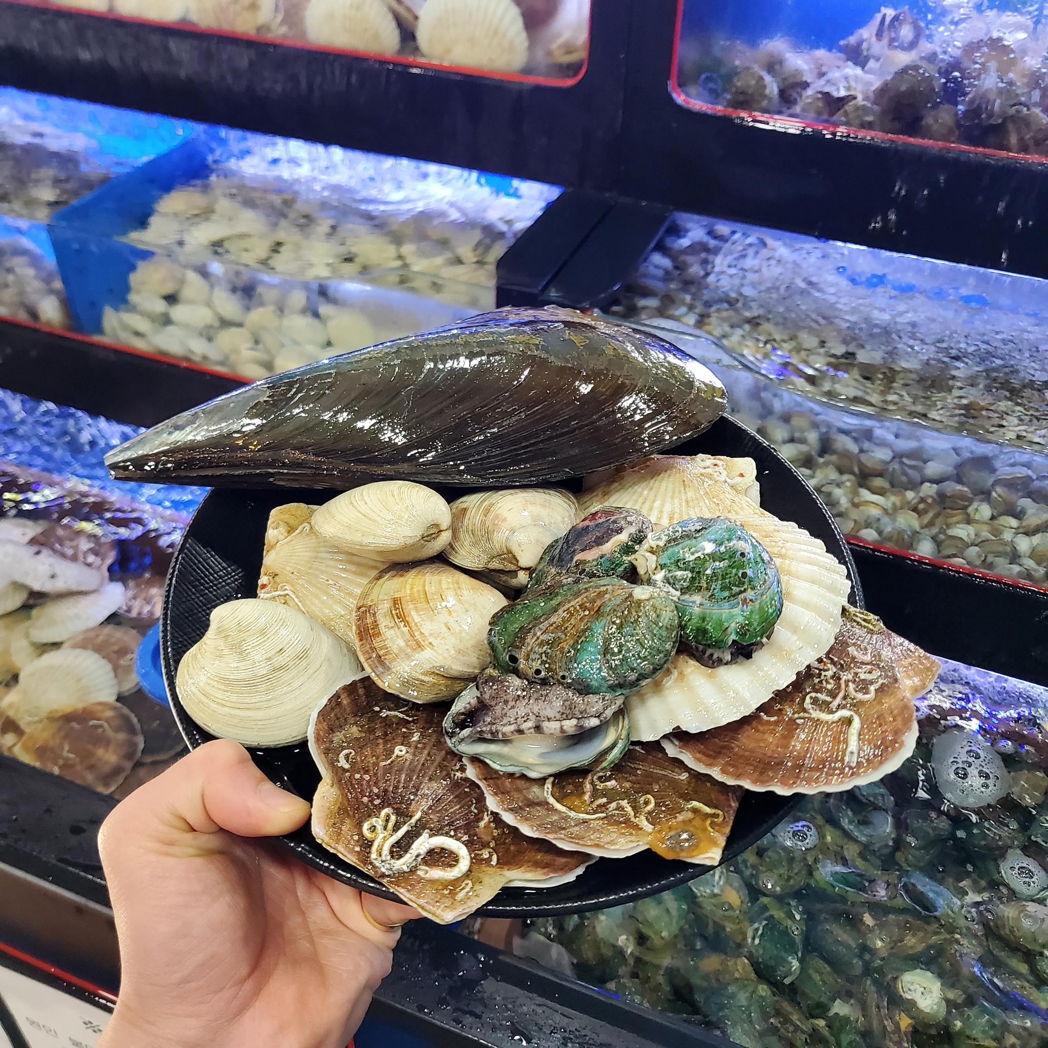 청춘 무한리필 조개구이 안양범계점