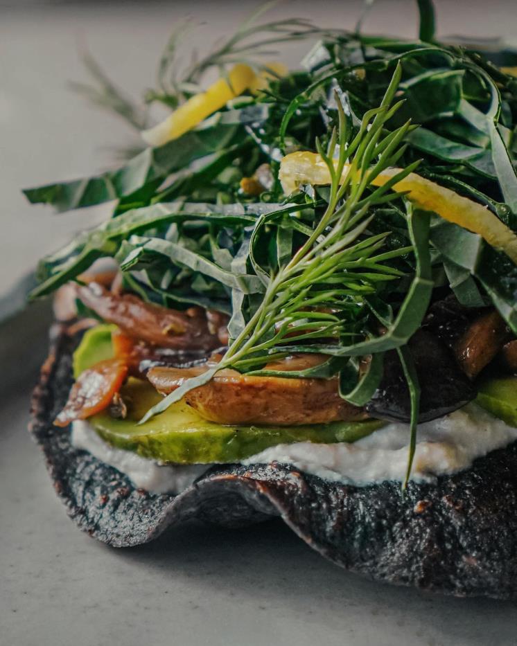 타께리아 엘 몰리노(@el)