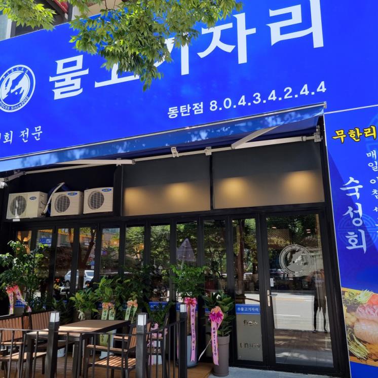 물고기자리
