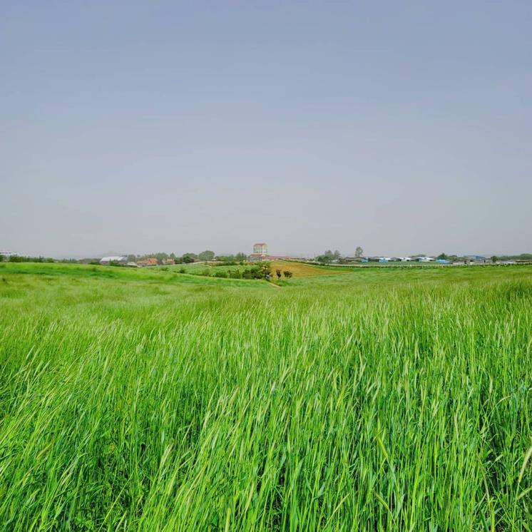 안성팜랜드 @nhasfarmland