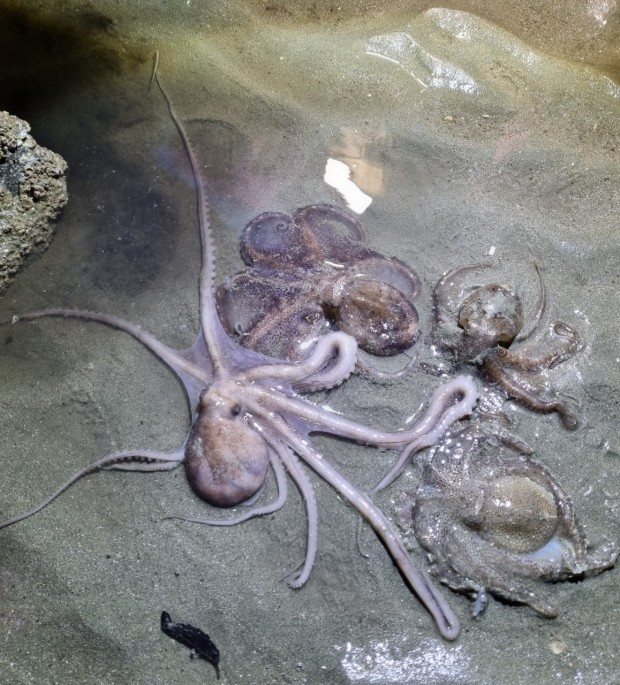 영흥도 어울림캠핑장(@어울림)