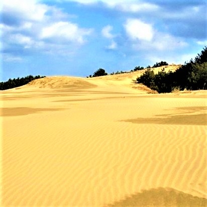 옥죽동모래사막