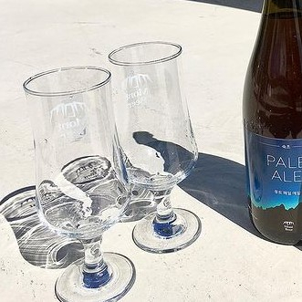 @swimmingturtle_in_ayajin