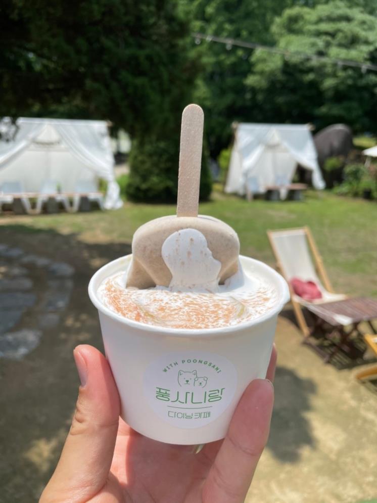 풍사니랑 @with_poongsani