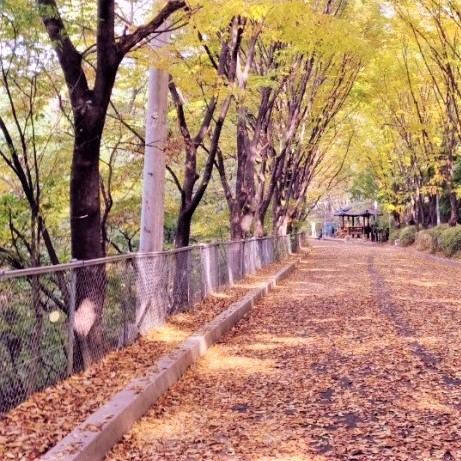 안산자락길