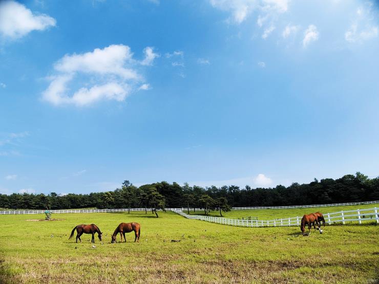 ⓒ한국관광공사