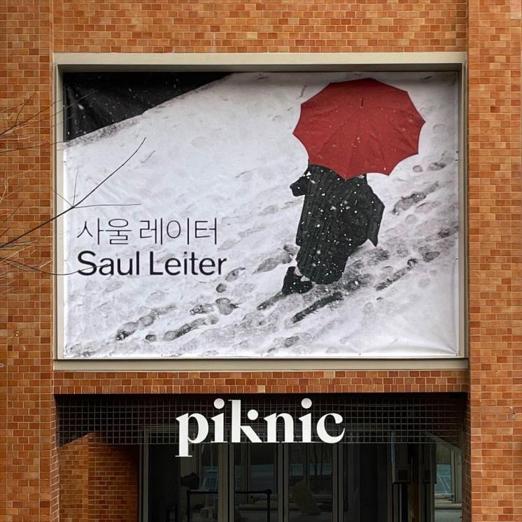 사울 레이터 : 창문을 통해 어렴풋이 @piknic.kr