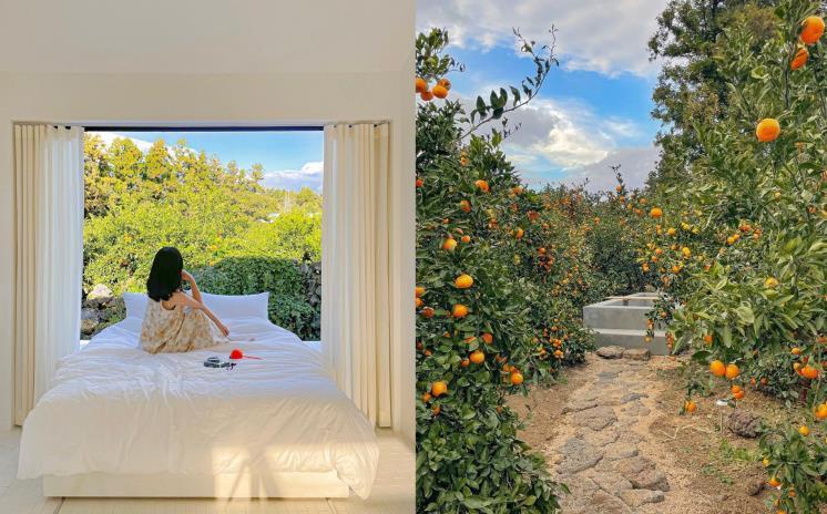 귤림동화 @_danie_e