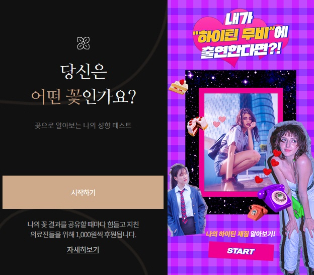 꽃 테스트, 하이틴 성향 테스트