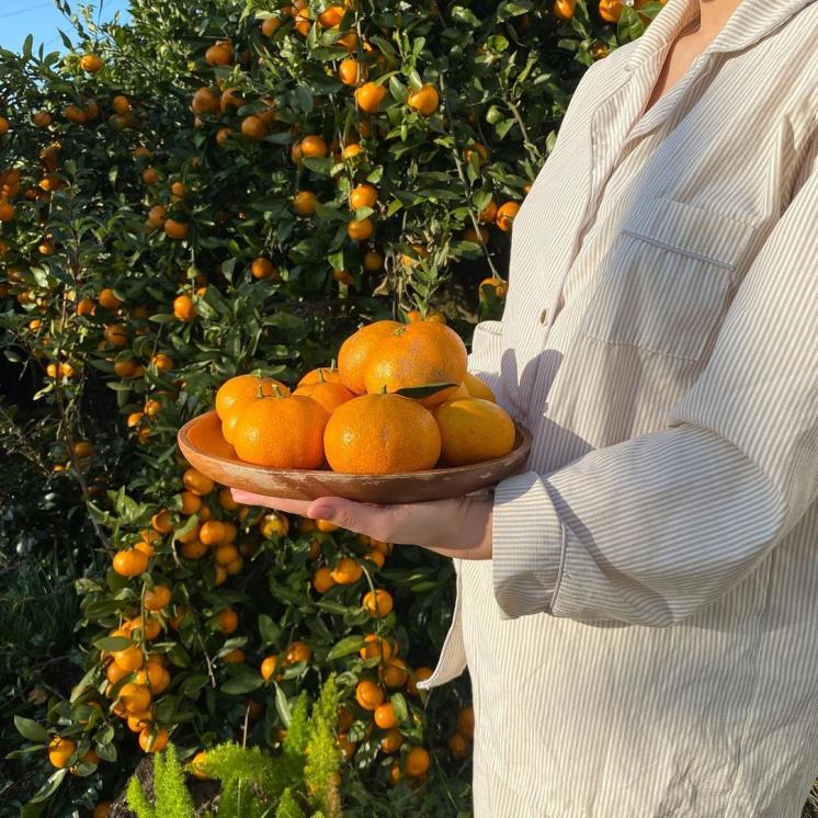 폴개우영 @luvbonbon_