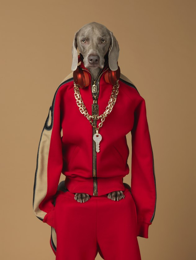 키(Qey, 2017) ⓒ William Wegman / (주)이엔에이파트너스 제공