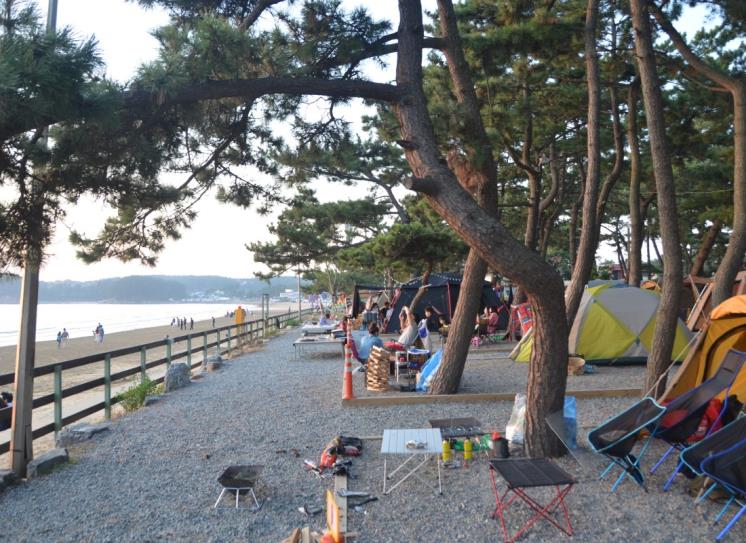 몽산포 오토캠핑장(@몽산포 오토캠핑장)