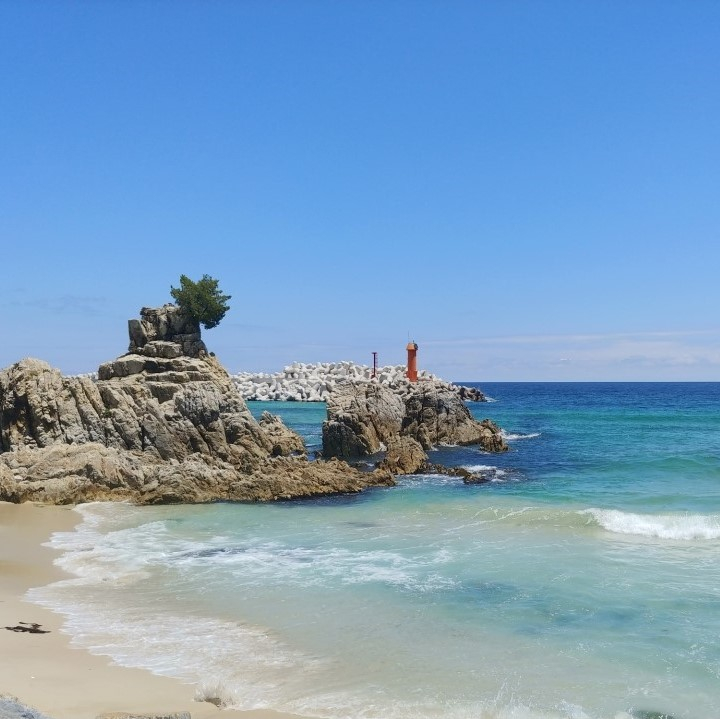 ⓒ삼척시청 공식블로그
