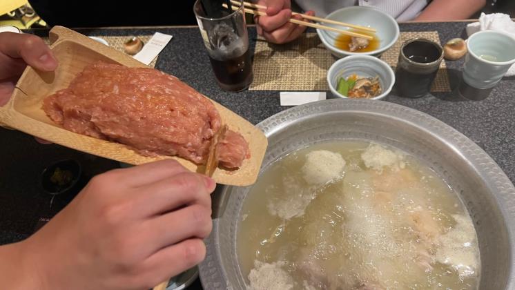 하카타 하나미도리