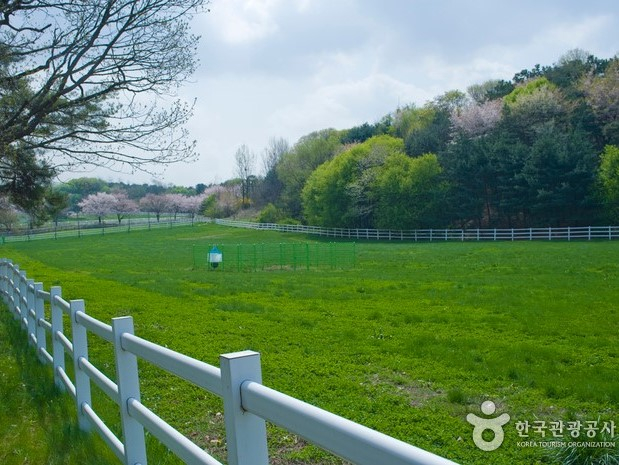 ⓒ한국관광공사