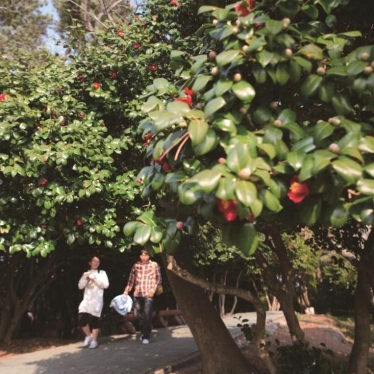 네이버 지식백과