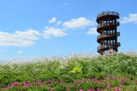 사진출처 시흥시청