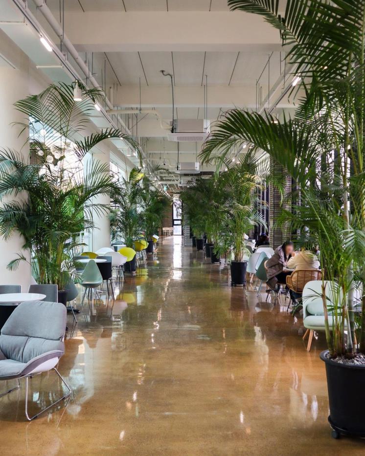 ⓒ히세댓(@_he_said_that)