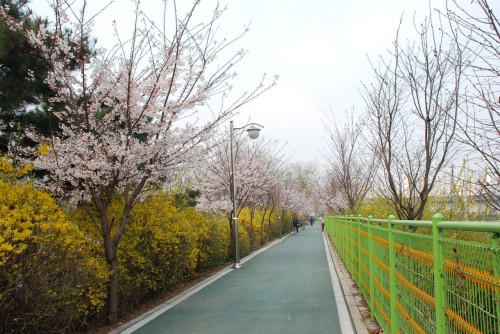 씨티맵